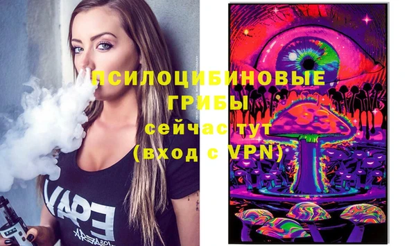 дмт Горно-Алтайск