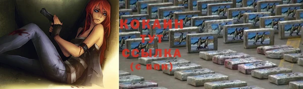 амф Горняк