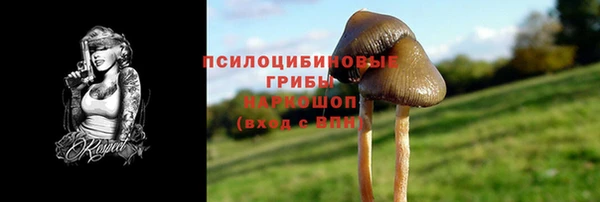 амф Горняк