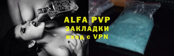 амф Горняк