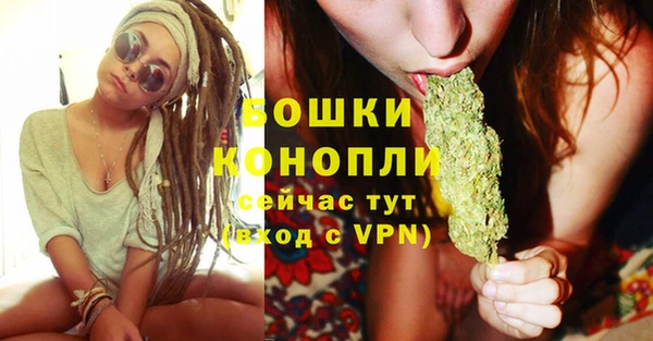 дмт Горно-Алтайск